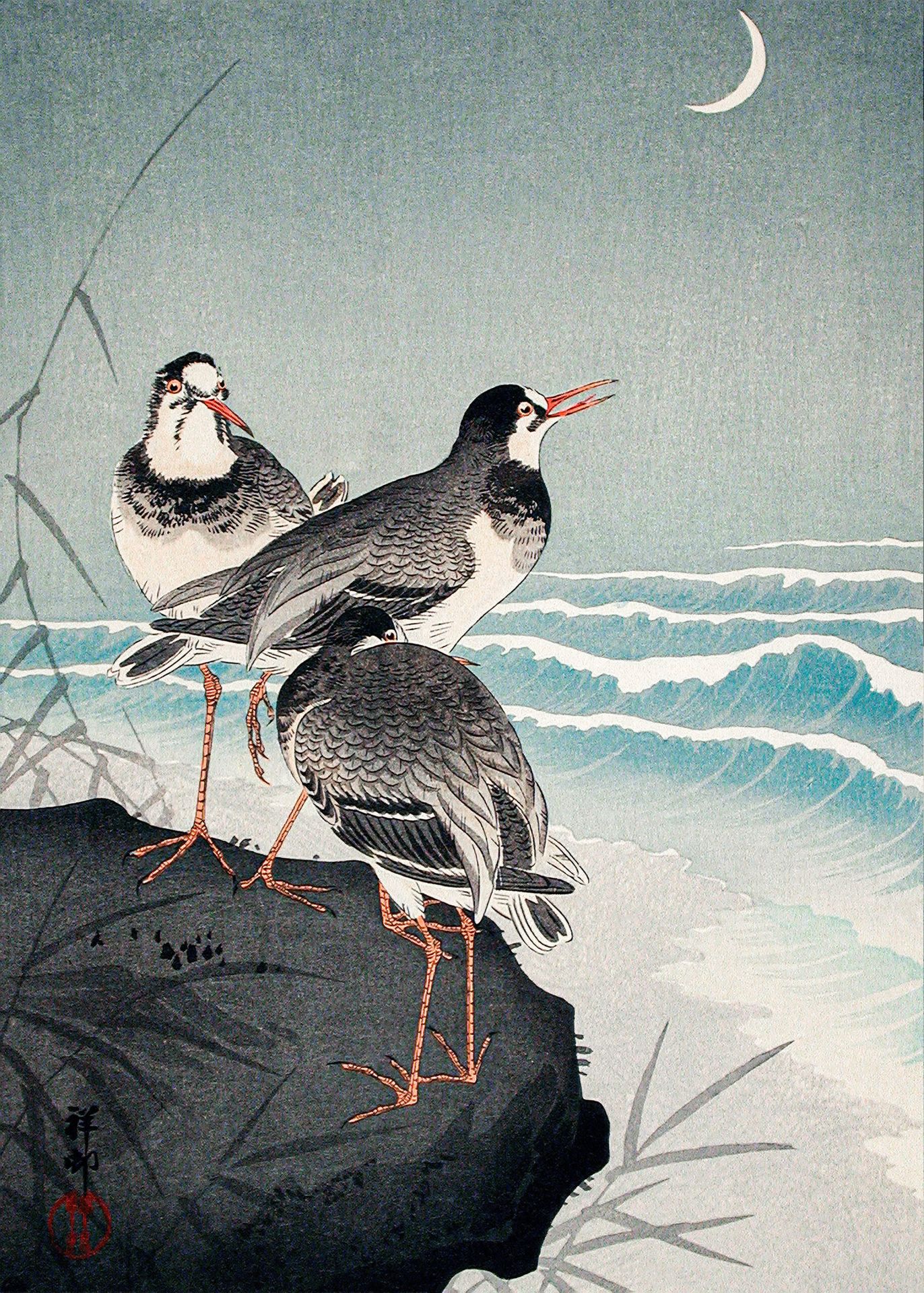 Plakat Ptaki wodne w księżycową noc Ohara Koson ukiyo-e