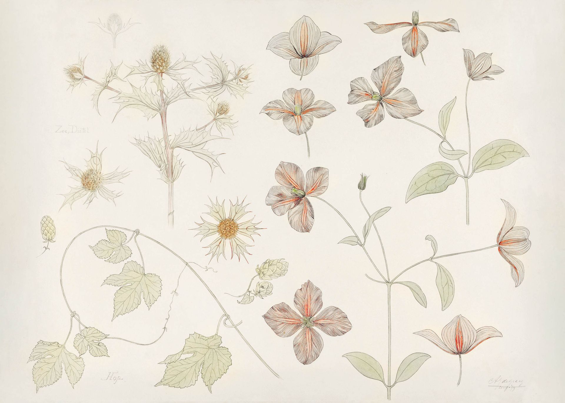 Plakat botaniczny Julie de Graag kwiaty vintage beżowy