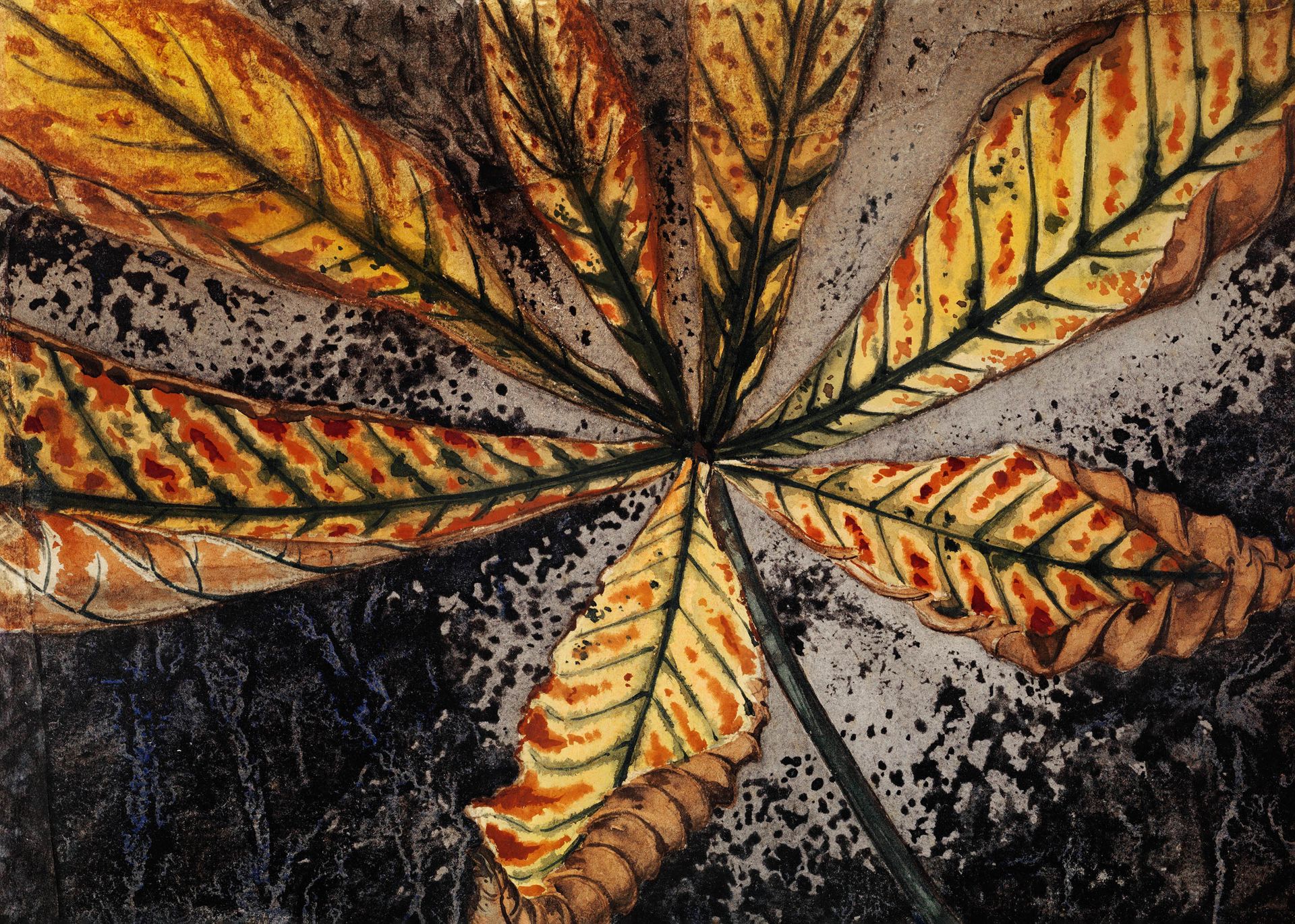 Plakat Julie de Graag liście botaniczne vintage drzeworyt