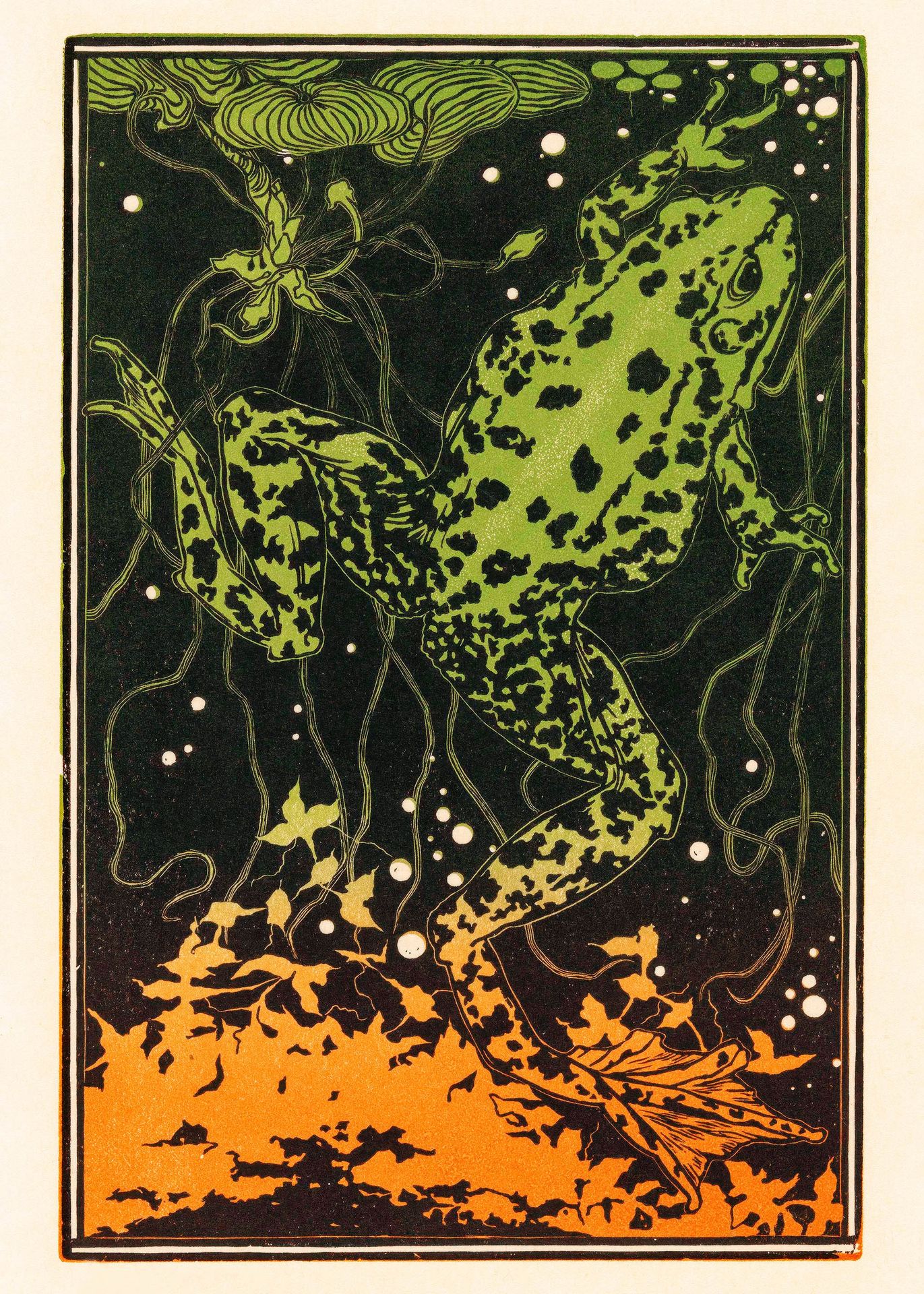 Plakat płynąca żaba Julie de Graag secesja art nouveau