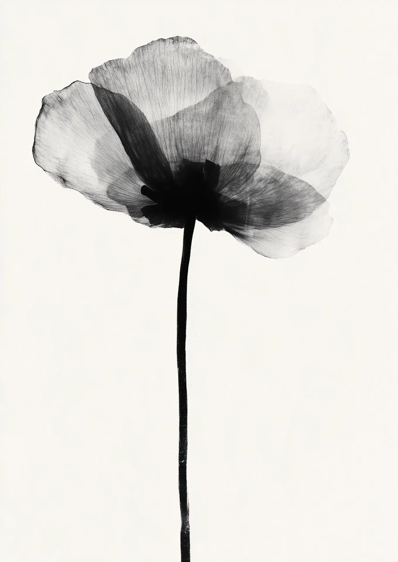 Plakat Monochromatyczny kwiat na białym tle