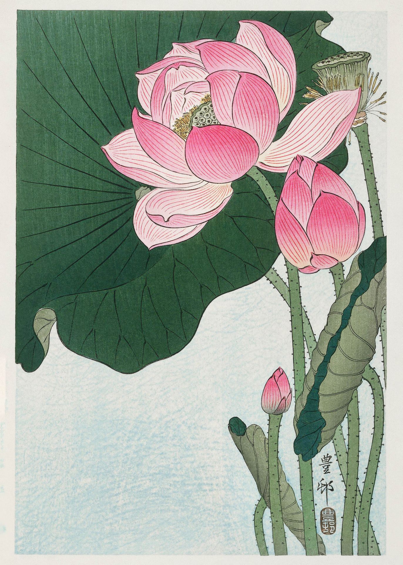 Plakat Kwitnący Lotos Ohara Koson japoński vintage