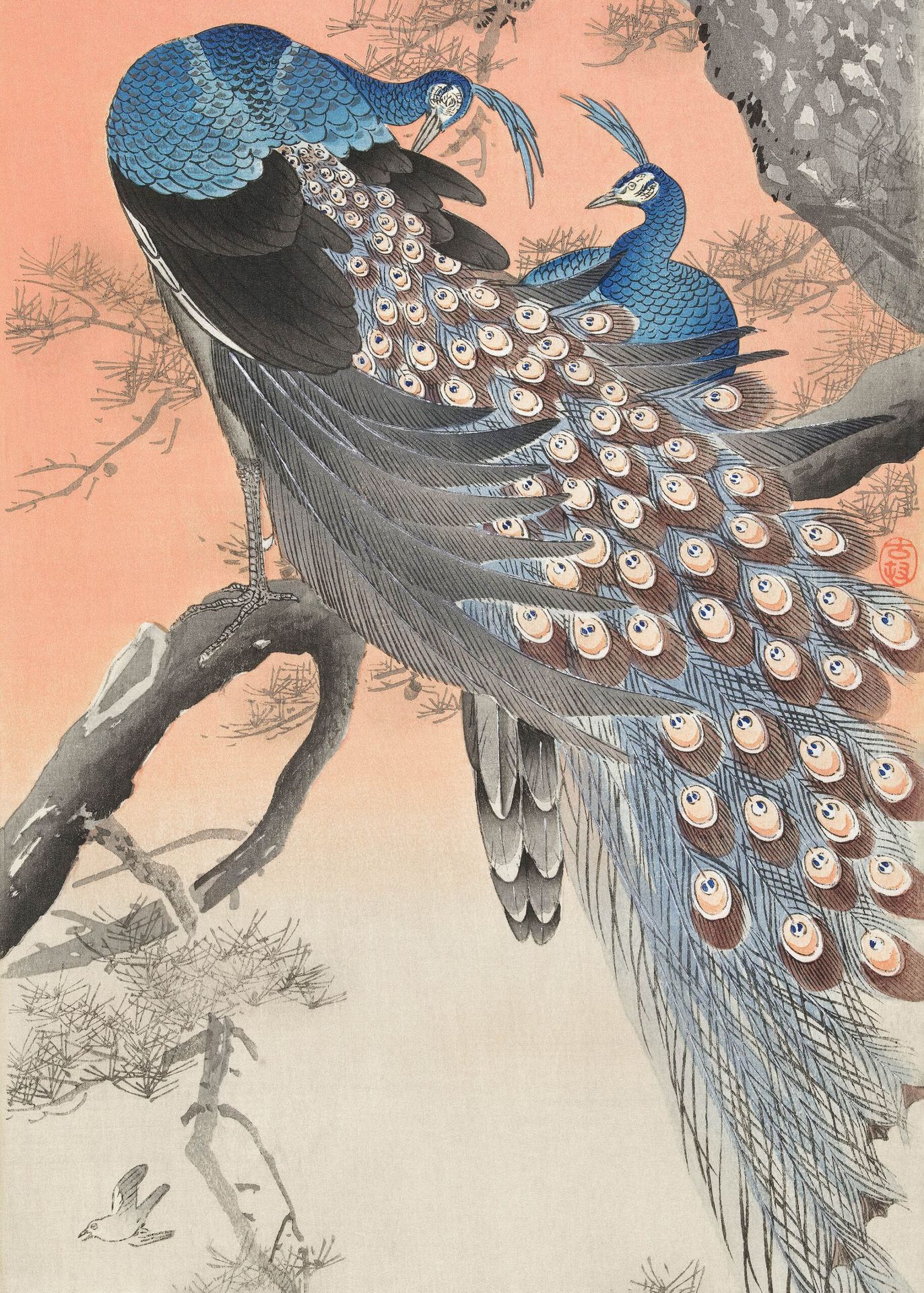 Plakat pawie Ohara Koson japoński drzeworyt shin-hanga