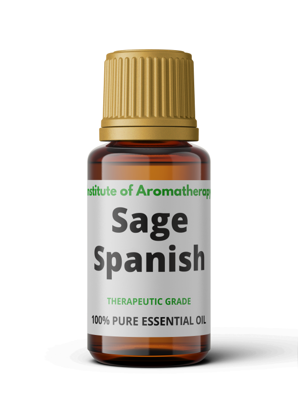 Olejek eteryczny SZAŁWII HISZPAŃSKIEJ organiczny - szałwia z nutą lawendy