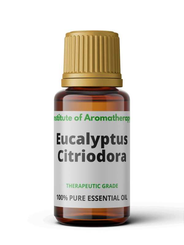 Olejek eteryczny EUKALIPTUS CYTRYNOWY Eukalyptus Citriodora - bóle zatok, opryszczka