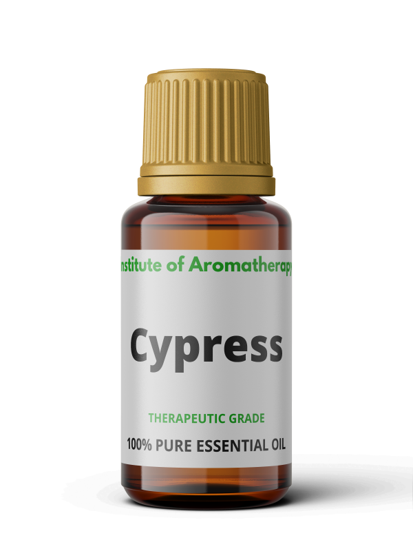 Olejek eteryczny CYPRYS, CYPRYSOWY - astma, rozkurczowy, oczyszczający