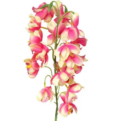 Gałązka storczyka dzwonkowatego 84 cm