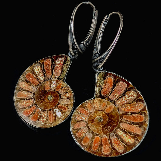 Kolczyki srebrne Amonity i sunstones