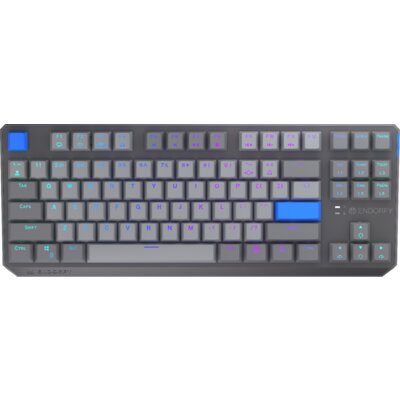 ENDORFY Thock V2 TKL Wireless EY5A130