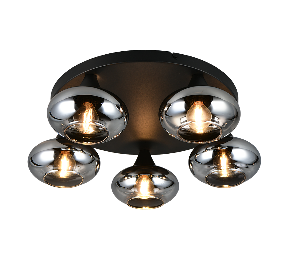 DIVINA R66645054 lampa sufitowa czarna z kloszami ze szkła dymionego 5xE14