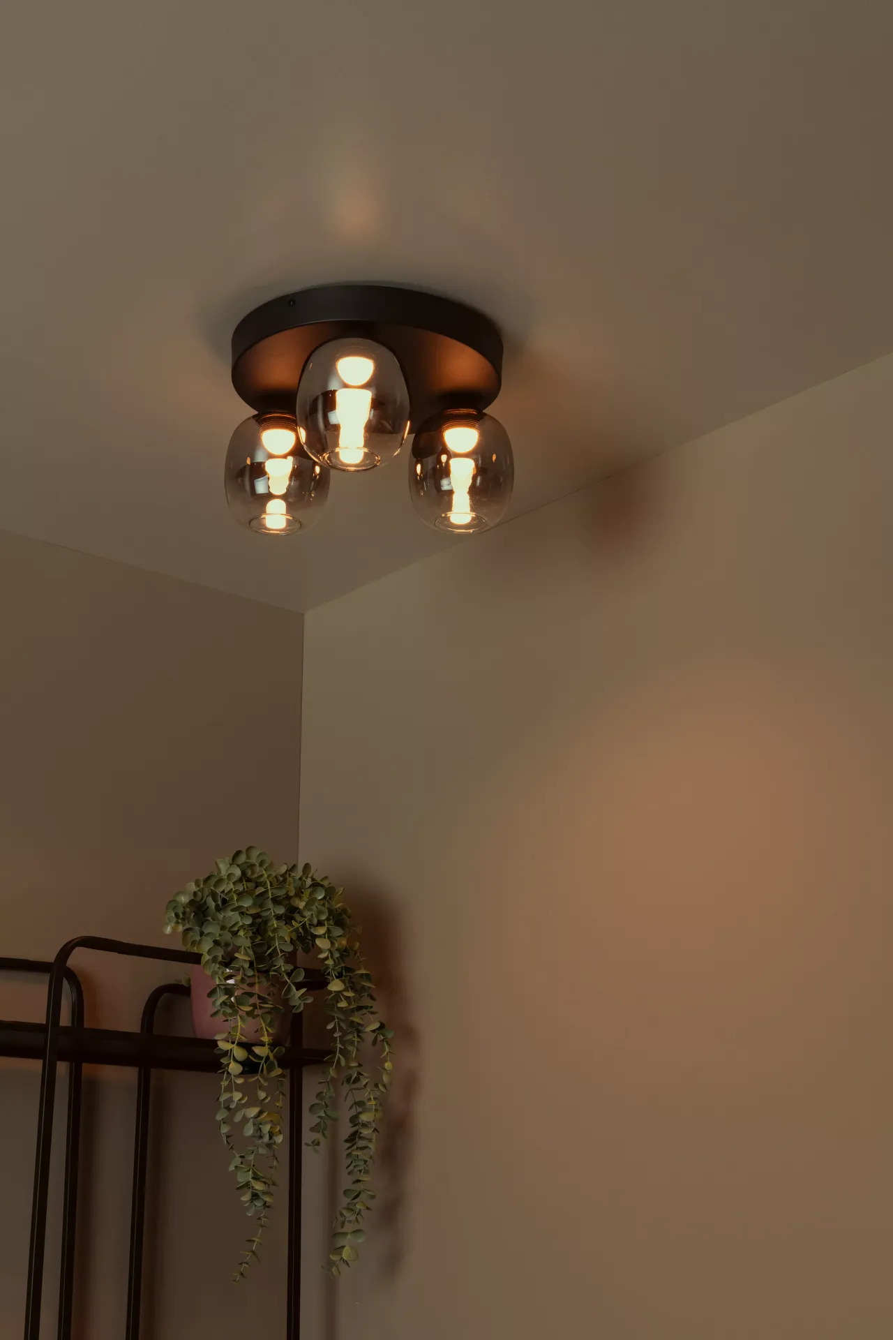 TIAMINO 74119/15/30 lampa sufitowa LED 3x5,6W klosze szkło dymione