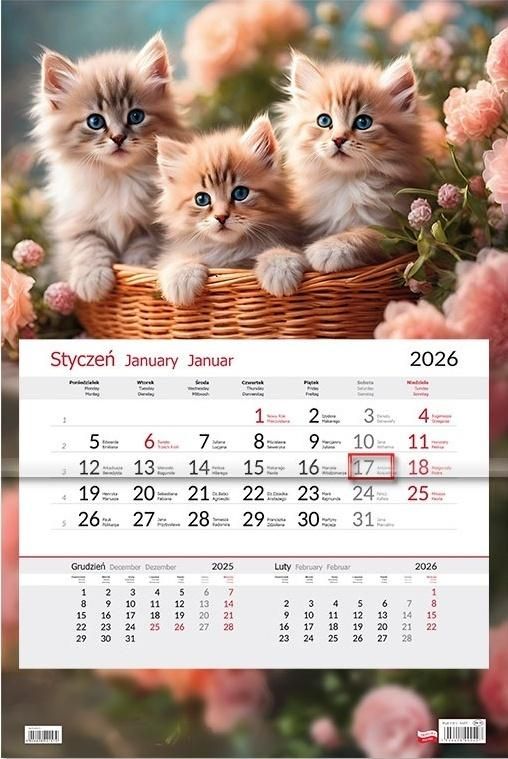 Kalendarz 2026 jednodzielny Kotki - kalendarz