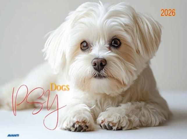 Kalendarz 2026 ścienny albumowy 28,5x20cm Psy - kalendarz