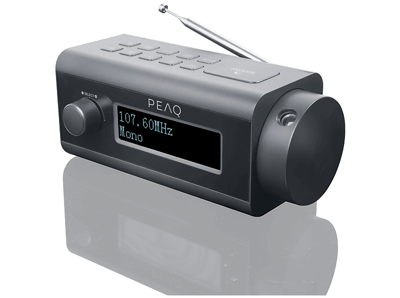 PEAQ PCR 170 DAB+ Szary