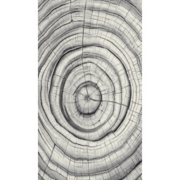 Dywan dziecięcy 3d Dywilan Luna 9 40449 Wood grey