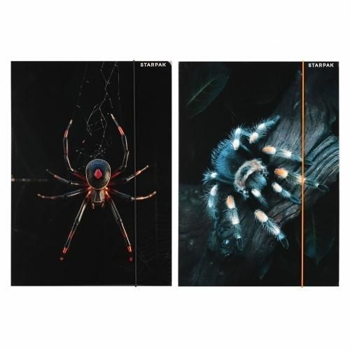 Starpak Teczka z gumką A4 Pająk 559732