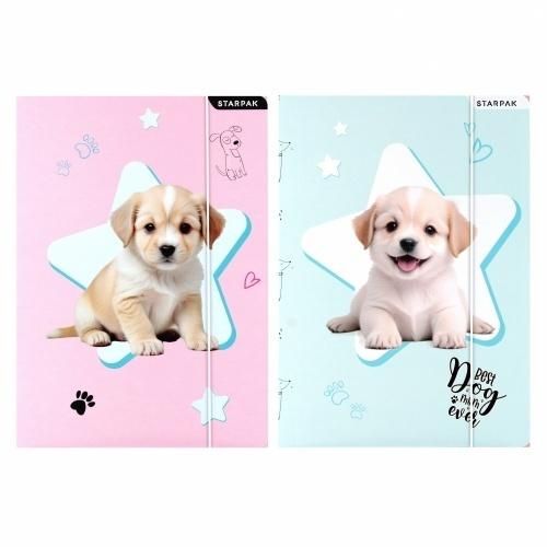 Starpak Teczka z gumką A4 Doggy 559706