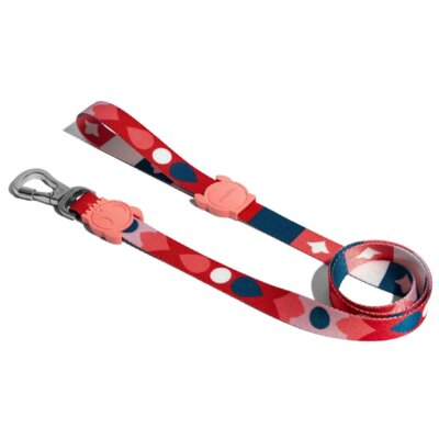 Smycz ZEE DOG Same L (120 x 2.5 cm)