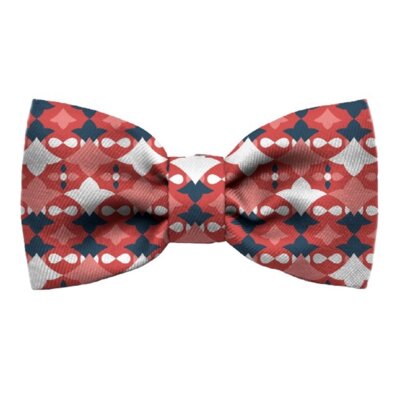 Muszka dla psa ZEE DOG Same S