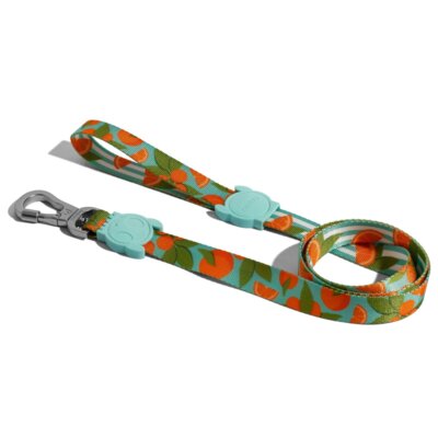 Smycz ZEE DOG Florida S (120 x 1.5 cm)