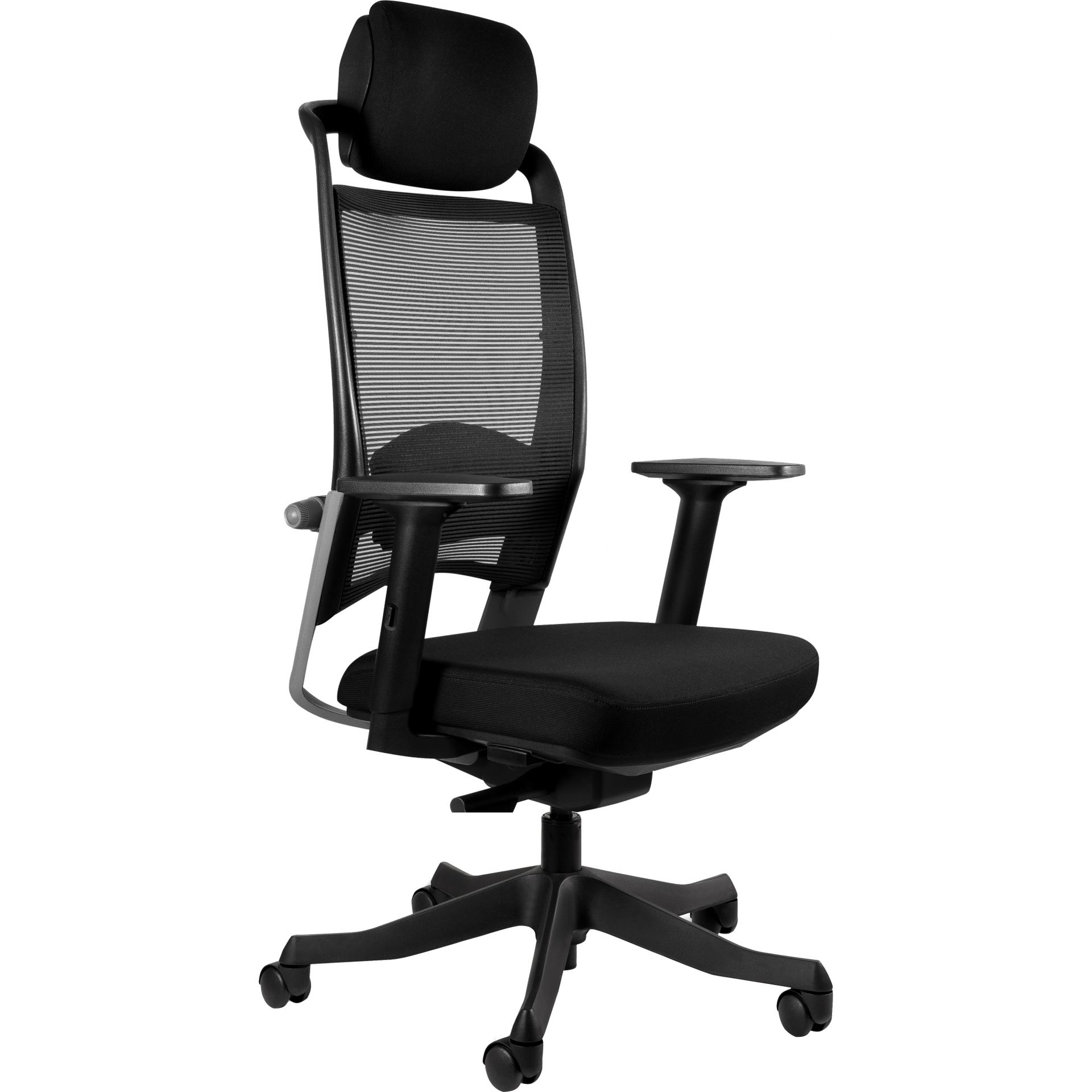 Unique Fotel Obrotowy Ergonomiczny Fulkrum Skóra Naturalna HL4 Czarny, Siatka SM01 Czarny, Skóra Naturalna HL4 Czarny