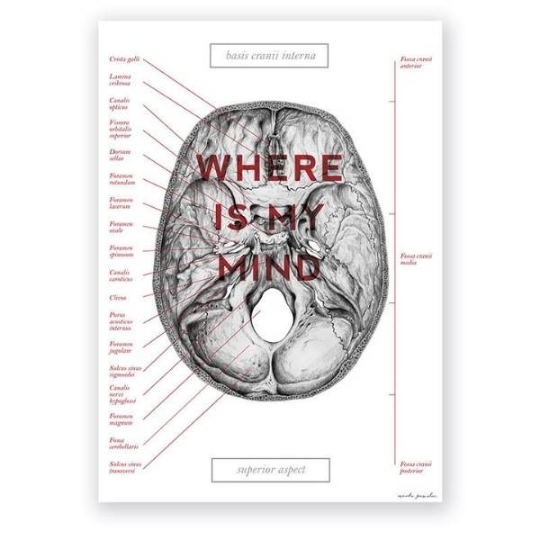 Plakat anatomiczny - Czaszka - WHERE IS MY MIND - Marta Pawelec