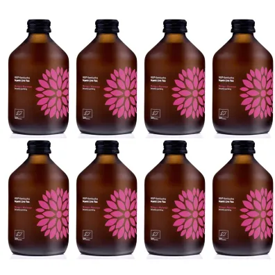 Vigo Yoko Kombucha z mango i marakują bezglutenowa Zestaw 8 x 330 ml Bio