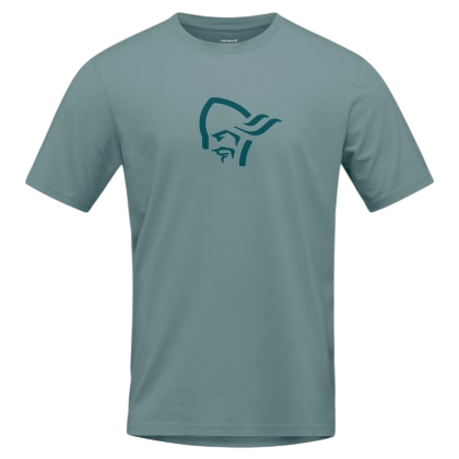 Koszulka męska Norrona 29 cotton viking T-shirt Rozmiar: M / Kolor: jasnoniebieski