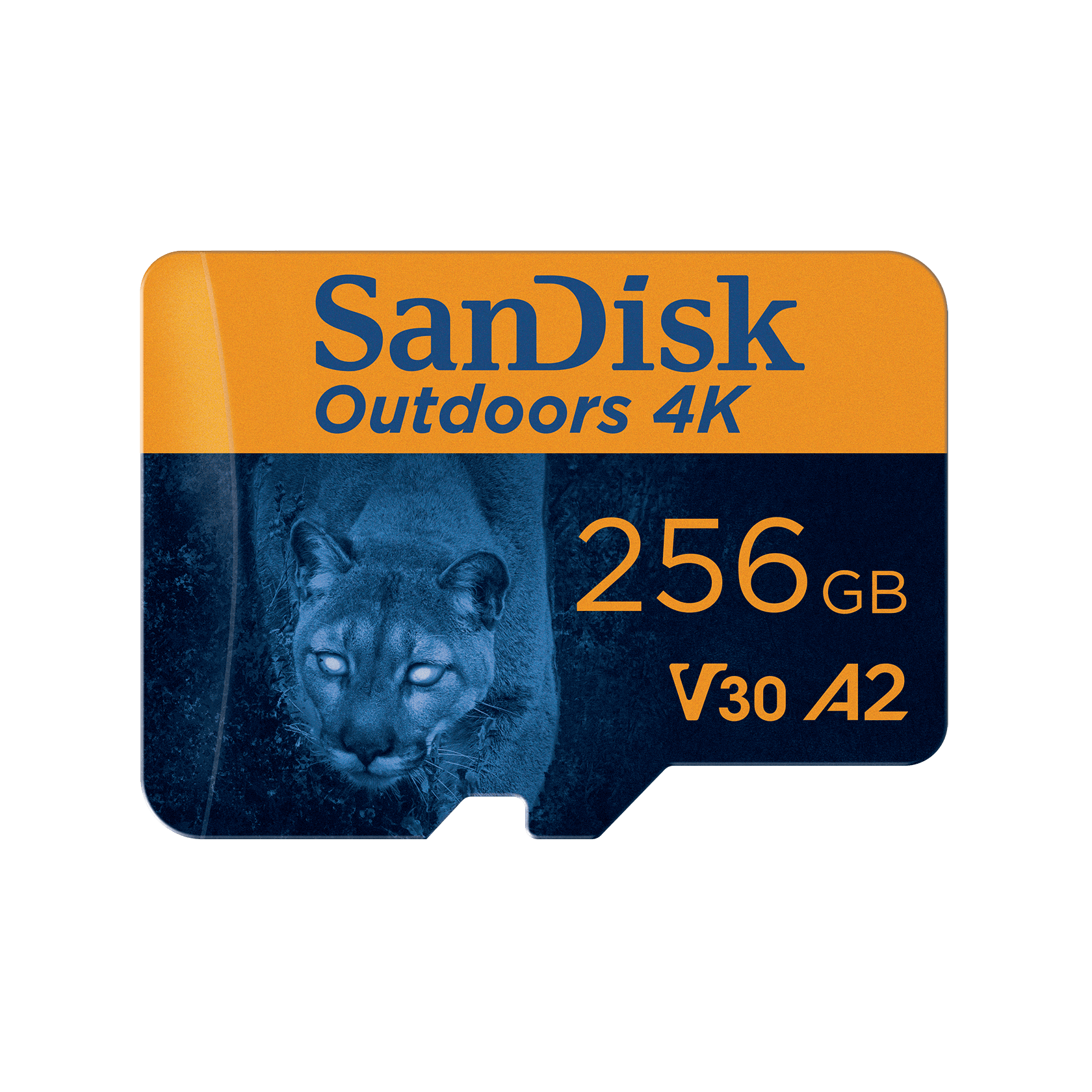 SanDisk Outdoors 4K MicroSDXC UHS-I Card with SD Adapter - 256GB - SDSQXAV-256G-GN6VA