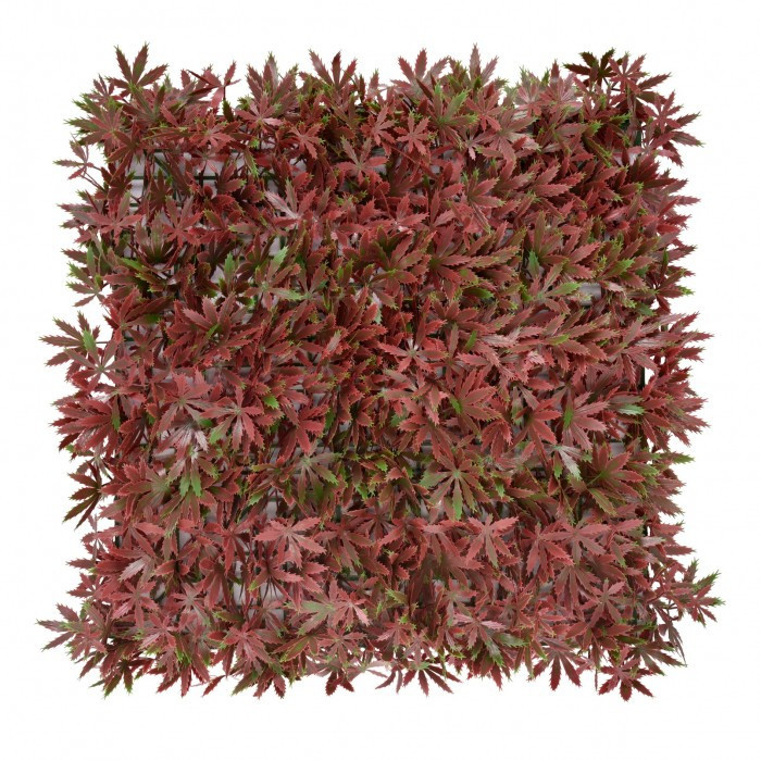 Mirpol Klon czerwony plastikowy zielony ściana 50x50 cm