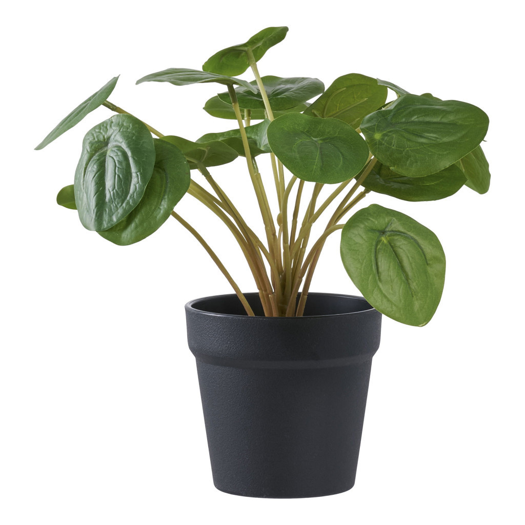 House Nordic Sztuczna roślina Pilea, zielona 28 cm