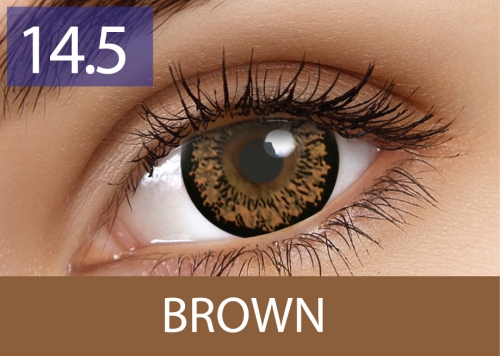 Maxvue Vision Flash - Dolly Brown moc 0.00 zerówki