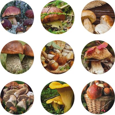 Zakrętka Ø66 mm grzyby 2 10 sztuk Browin