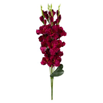 Mieczyk bukiet 5 główek 67 cm czerwony