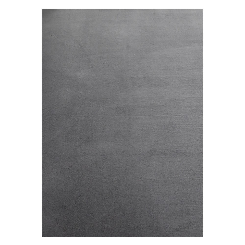 Szary dywan odpowiedni do prania 140x200 cm Sky – Ayyildiz Carpets