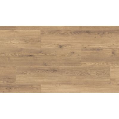 Panel podłogowy wild sargus oak 8 mm