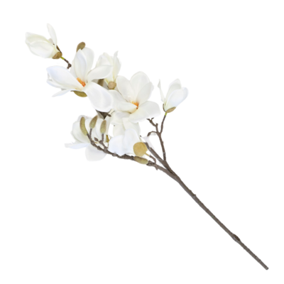 Magnolia gałązka 88 cm