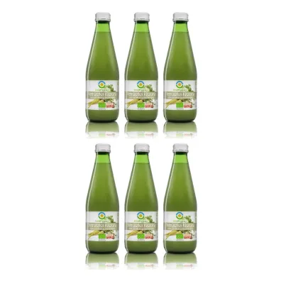 Bio Food Sok z pietruszki kiszonej nfc Zestaw 6 x 300 ml Bio