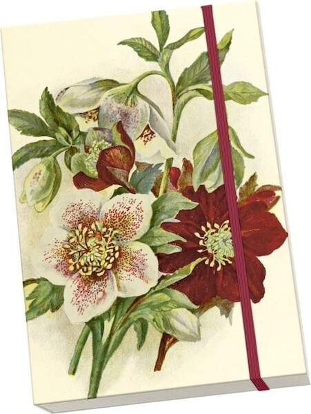 Notatnik ozdobny A5 STNOTE 141 Ciemiernik