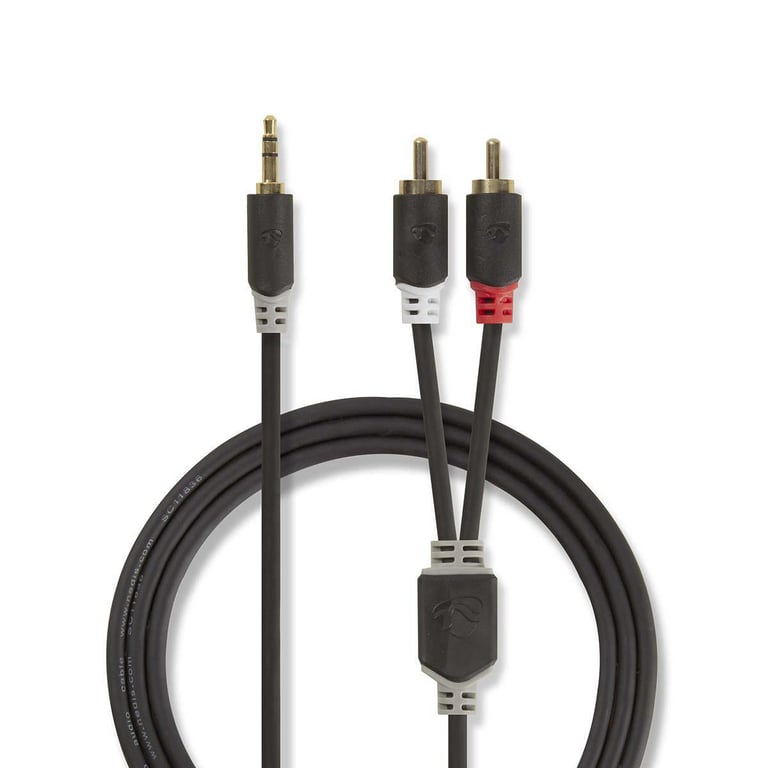 Nedis CABW22200AT10 kabel audio 1 m 3.5mm 2 x RCA Antracyt