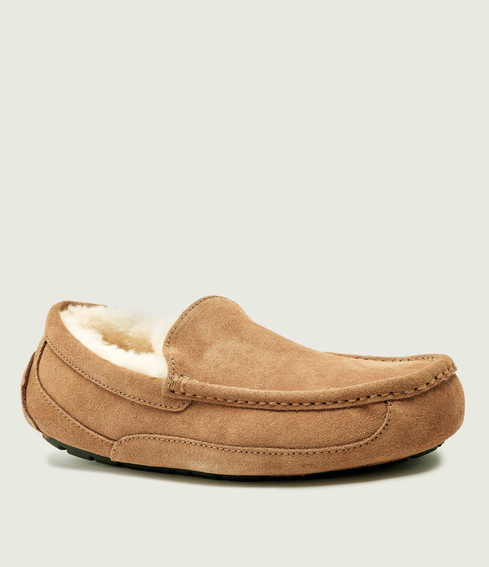 UGG Obuwie domowe M ASCOT shearling zamsz