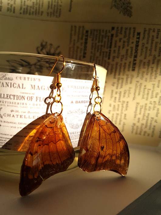 Kolczyki bursztynowe motyle