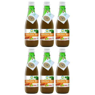 Bio Food Sok z marchwi kiszonej zestaw 6 x 300 ml Bio