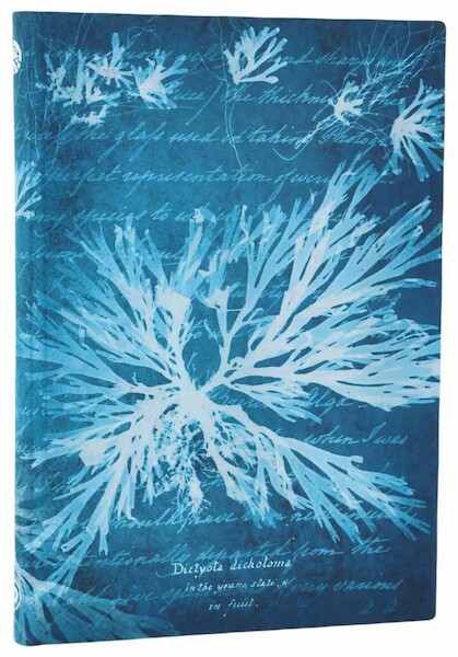 Notatnik linia Sea Flowers midi