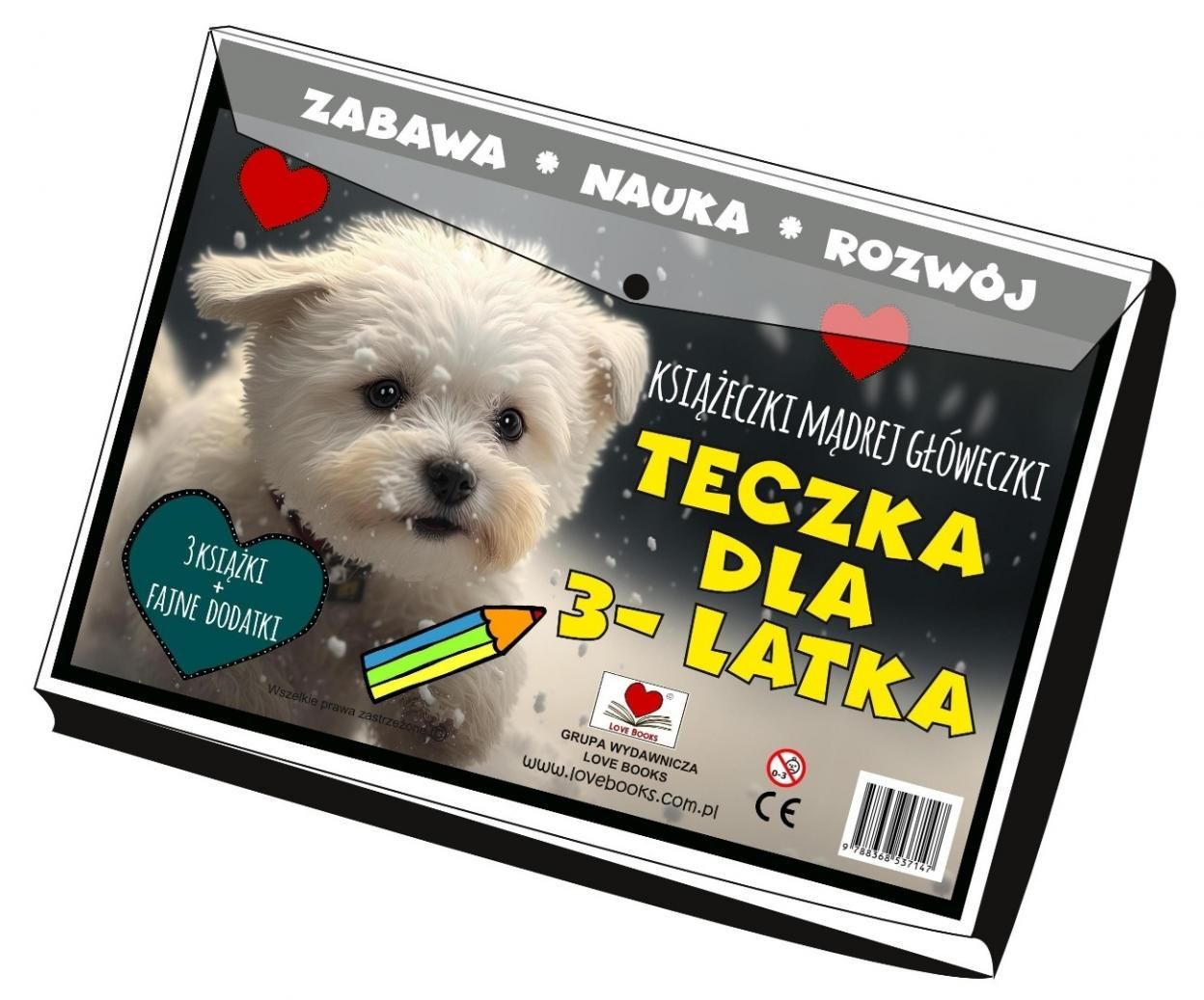 Teczka dla 3 latka. Książeczki mądrej główeczki - książka