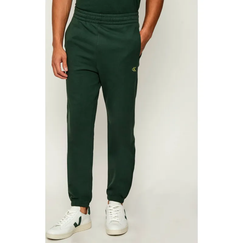 Calvin Klein Jeans Spodnie dresowe | Regular Fit