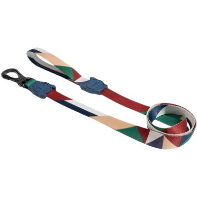 Smycz ZEE DOG Pacco S (120 x 1.5 cm) Wielokolorowy