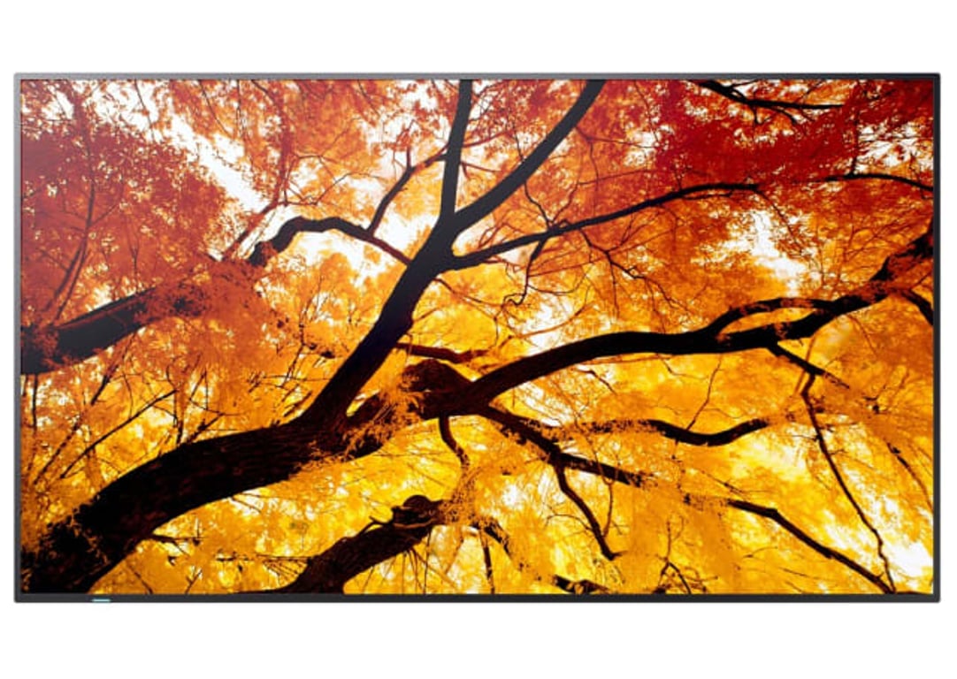 Sharp MultiSync M982 Interaktywny płaski panel 2,48 m (97.5