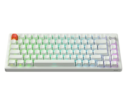 SMX Kishu Jelly Switch Lumos white