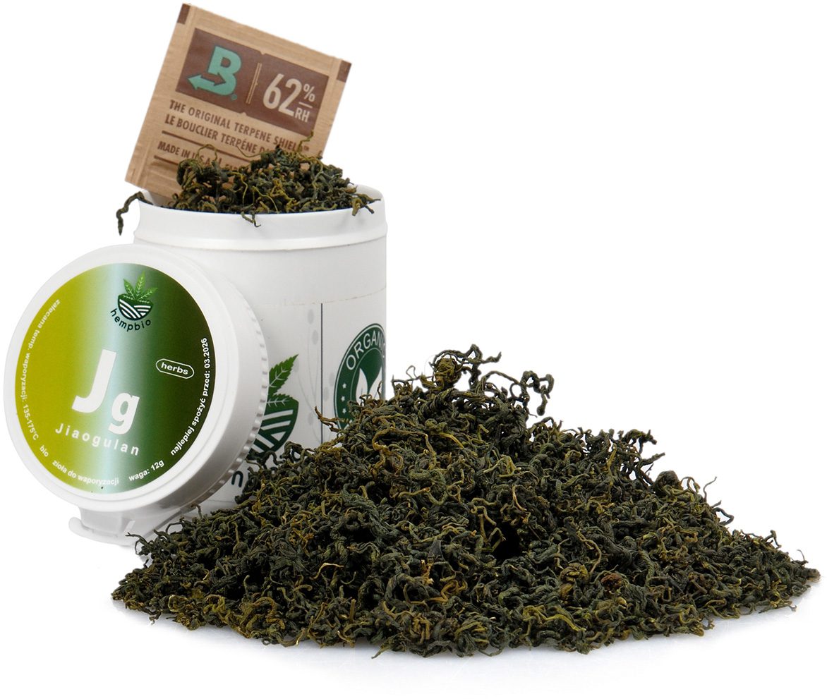 JIAOGULAN do aromaterapii susz zioła odchudzanie serce odporność ciśnienie